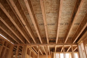 I-beam floor joists. Picture is from this website.